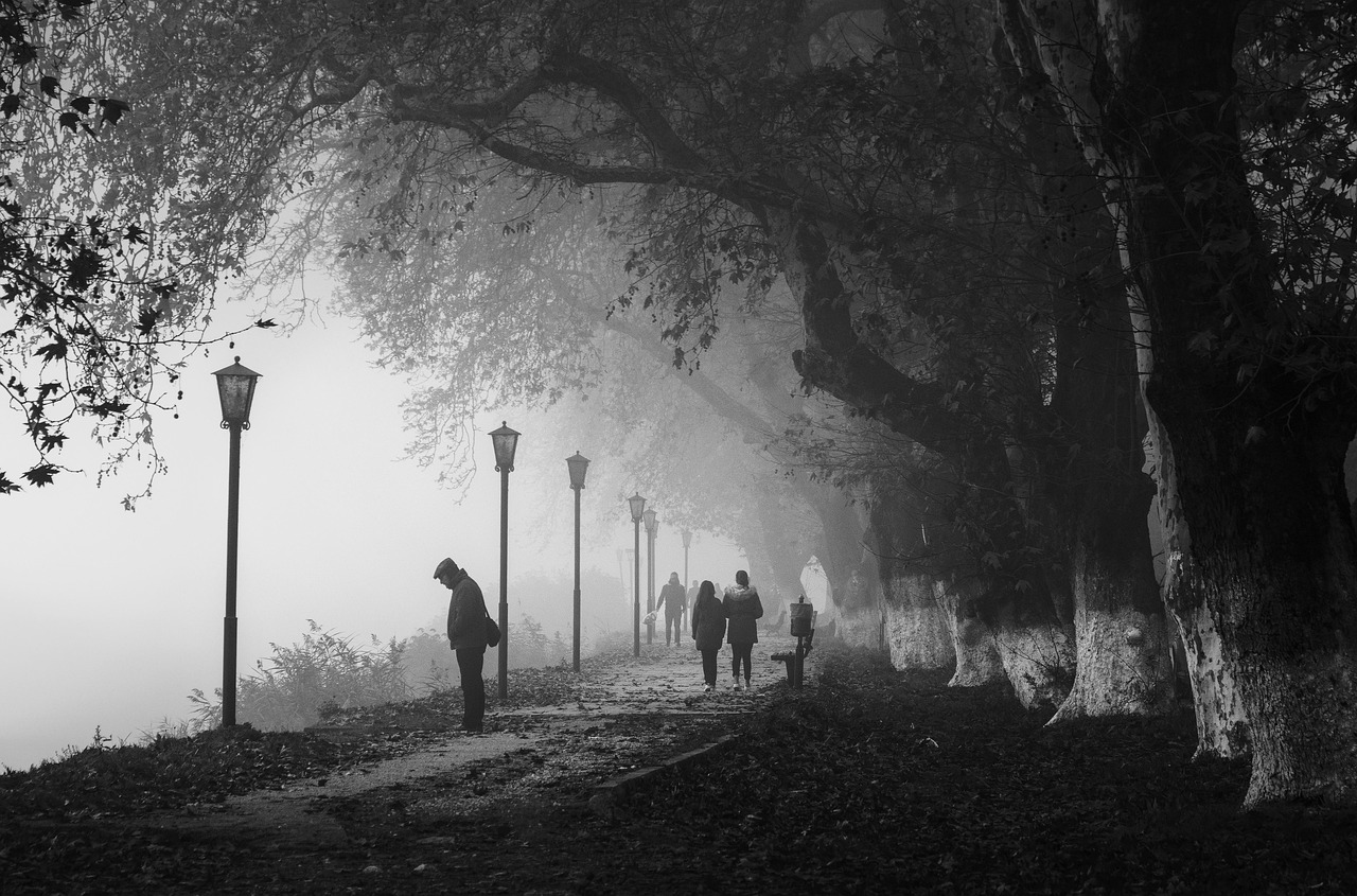 A Slow Morning Walk: Turning a Daily Stroll into a Mindful Ritual