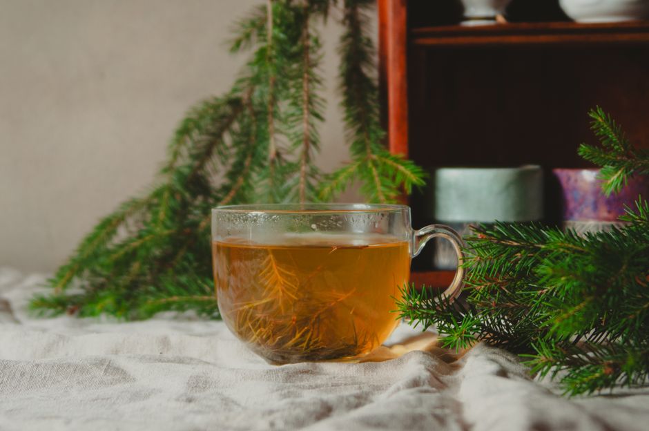The Quiet Art of Brewing Pine Needle Tea in Winter